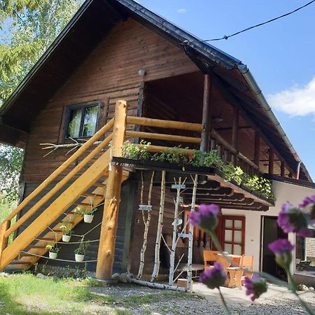 Pensiunea Padina Bran  Buitenkant foto