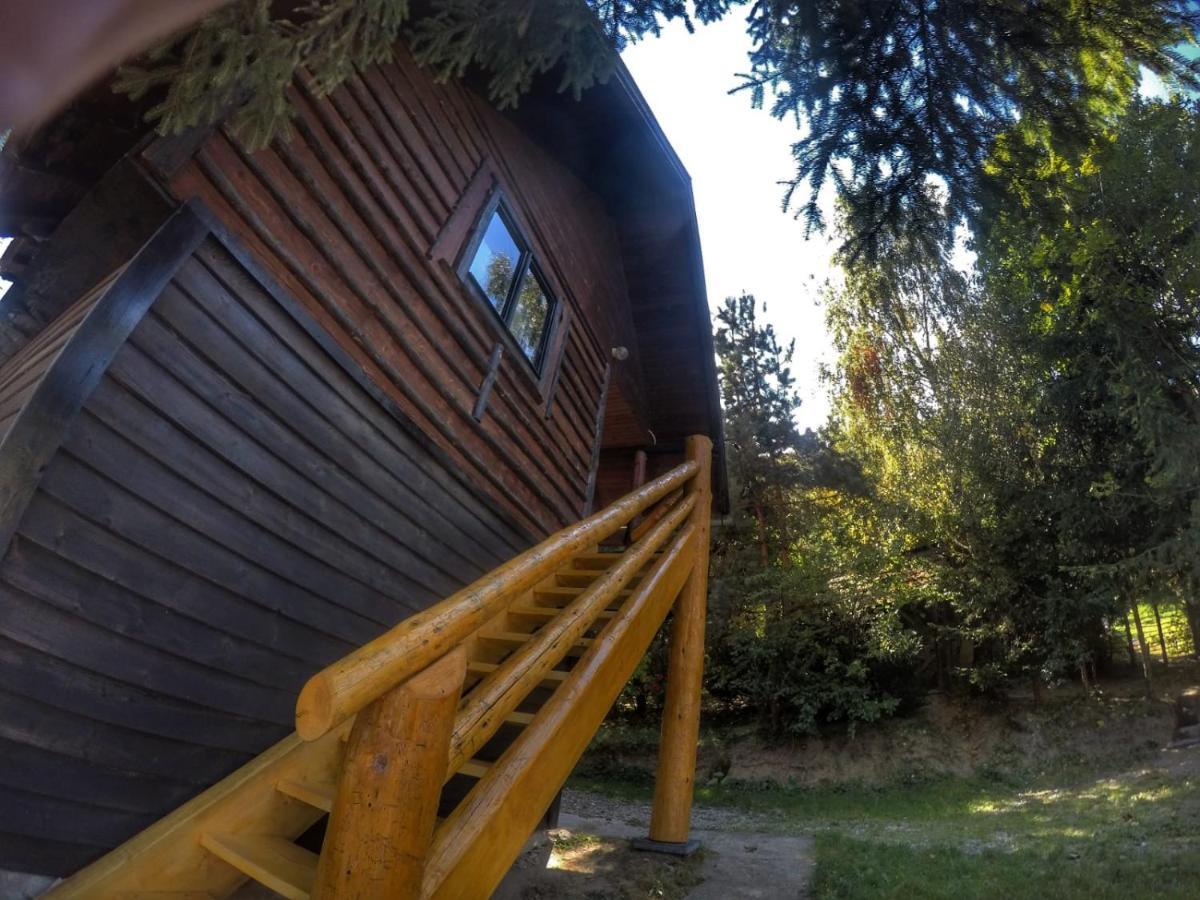 Pensiunea Padina Bran  Buitenkant foto
