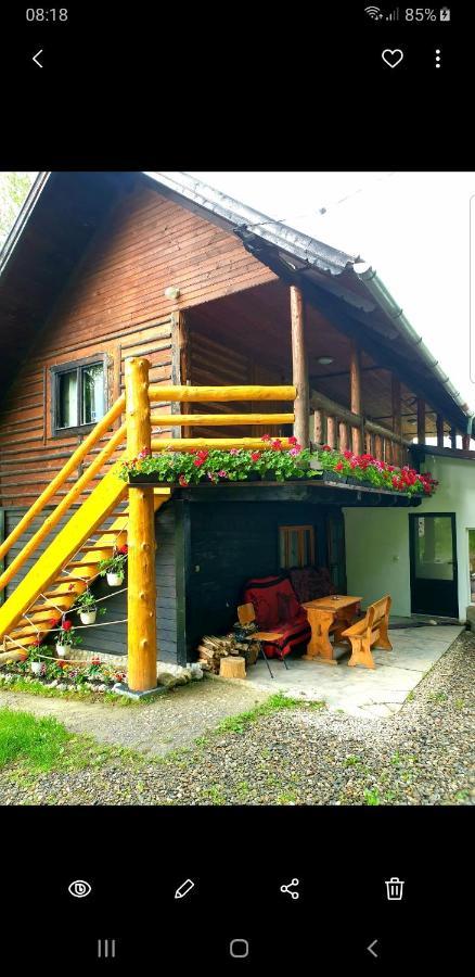 Pensiunea Padina Bran  Buitenkant foto