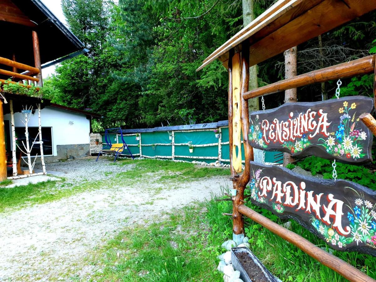 Pensiunea Padina Bran  Buitenkant foto