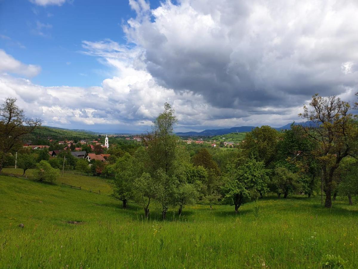Pensiunea Padina Bran  Buitenkant foto