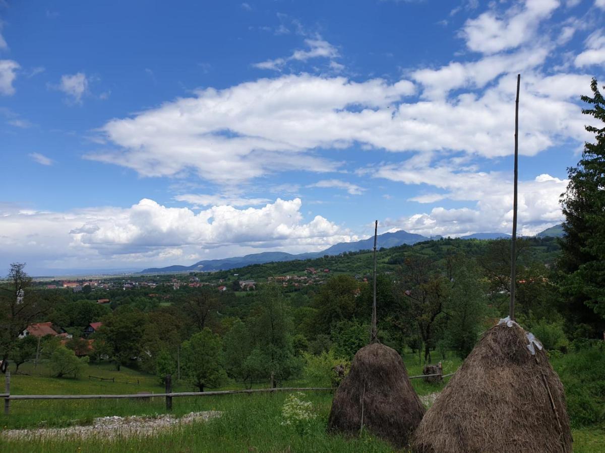 Pensiunea Padina Bran  Buitenkant foto