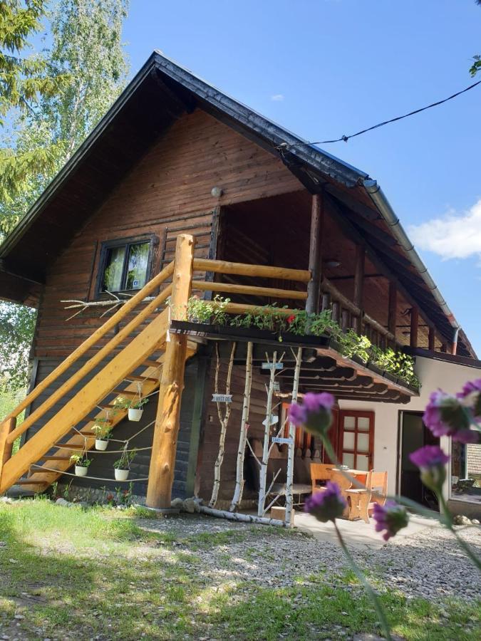 Pensiunea Padina Bran  Buitenkant foto