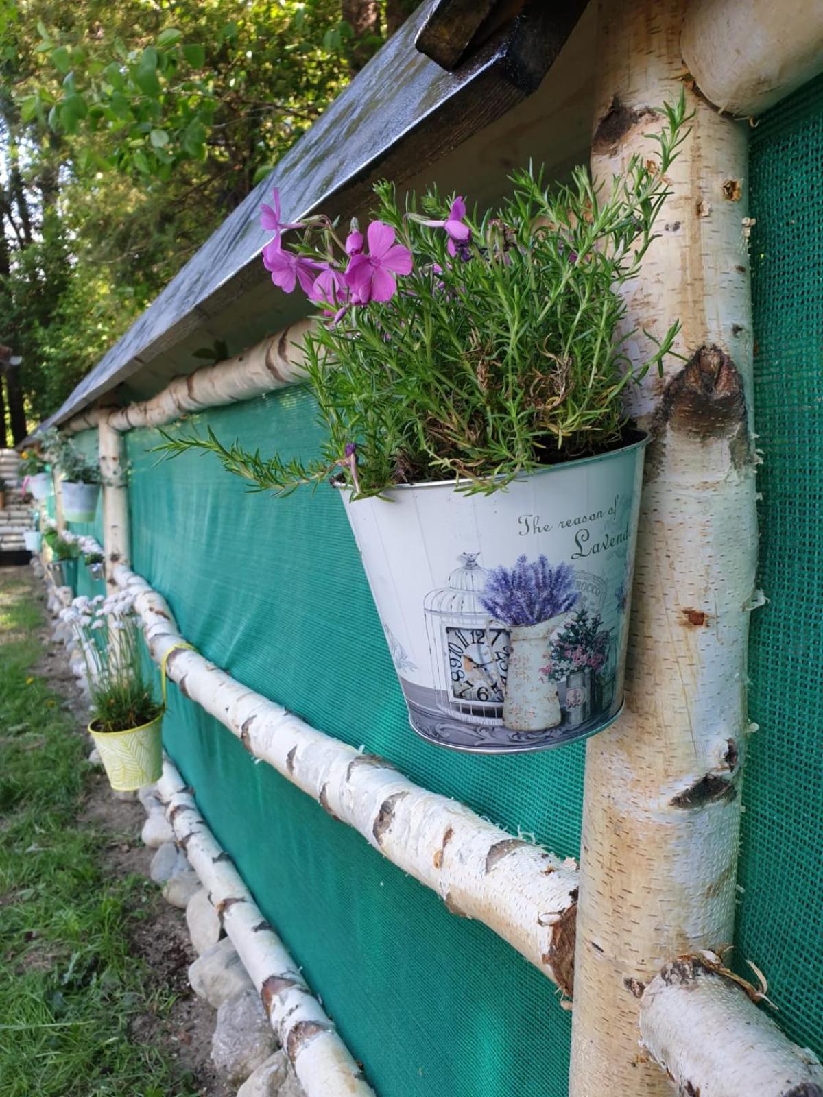 Pensiunea Padina Bran  Buitenkant foto